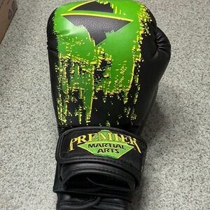 Premier Martial Arts Boxing Gloves